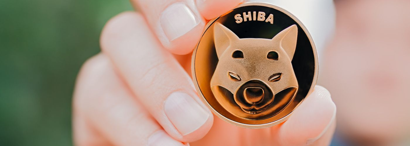 How to get a profit with Shiba Inu cryptocurrency?
